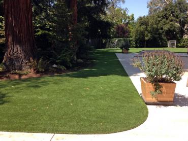 Artificial Grass Photos: Synthetic Pet Grass Foothill Ranch California Lawns